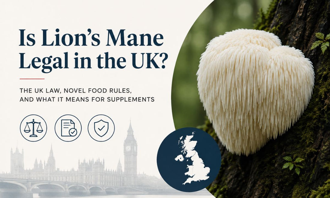 Is Lion's Mane Legal in the UK