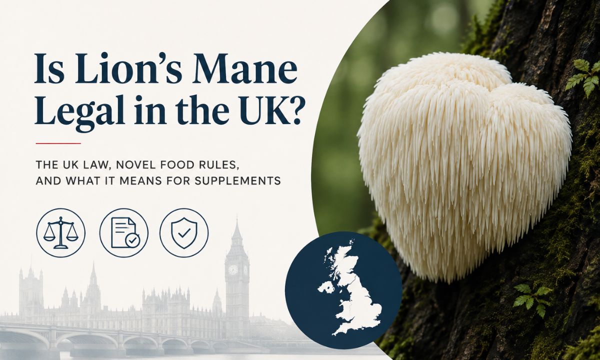 Is Lion's Mane Legal in the UK