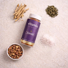ELEVATE – Mood Gummies